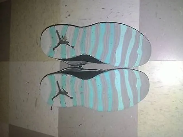 Nike Air Jordan 10 Lady Liberty