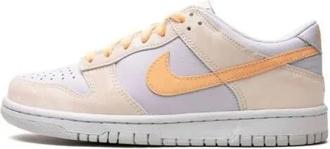 Nike Kids Dunk Low 