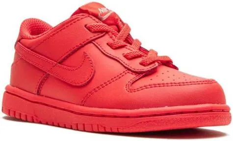 Nike Kids Dunk Low TDE 