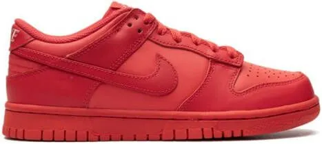 Nike Kids Dunk Low 