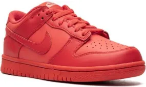 Nike Kids Dunk Low Track Red sneakers