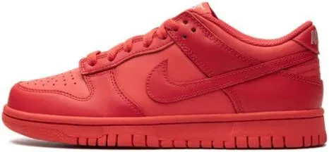 Nike Kids Dunk Low 