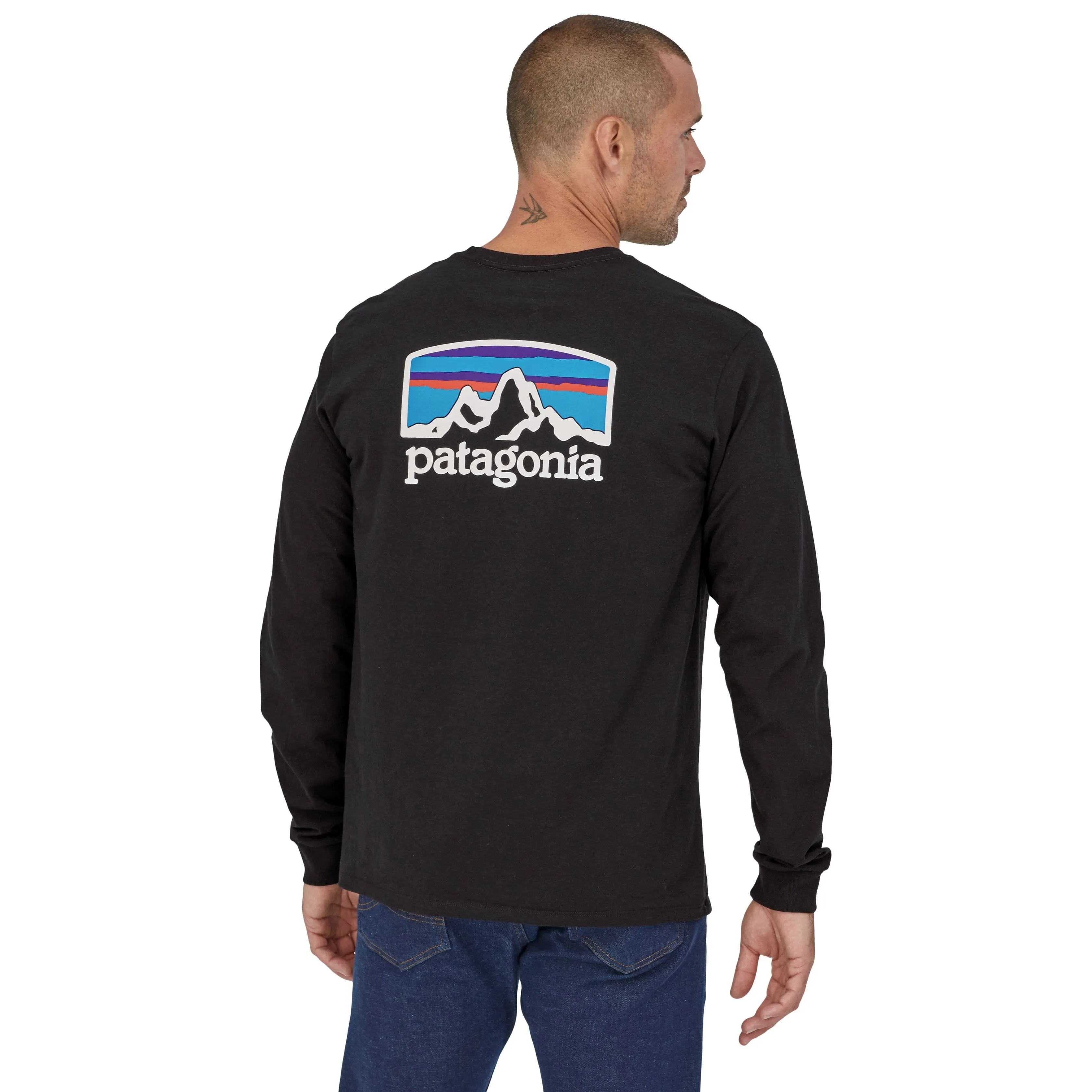 Patagonia Fitz Roy Horizons Responsibili-Tee LS