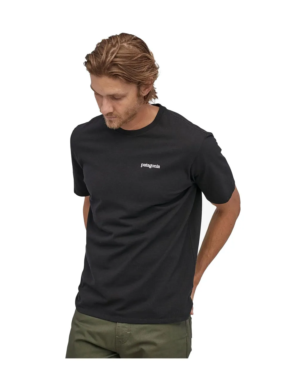 Patagonia Fitz Roy Horizons Responsibili-Tee