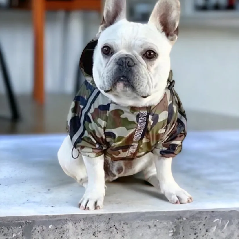 The Dog Face A Barking Pup camo jacket / Rain Proof Dog Clothing